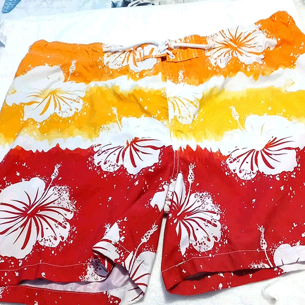 Mens beach or swim suit